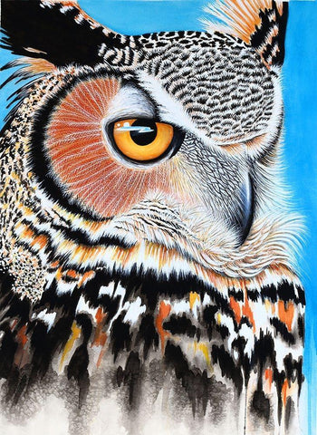 Great Horned Owl Eye Black Ornate Wood Framed Art Print with Double Matting by Wickstrom, Martin