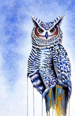 Great Horned Owl In Blue Black Ornate Wood Framed Art Print with Double Matting by Wickstrom, Martin