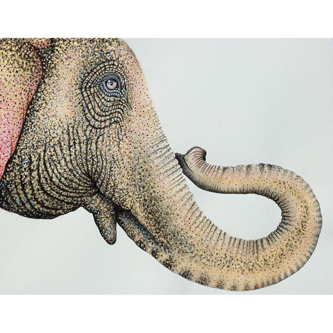 Spotted Asian Elephant 2 Gold Ornate Wood Framed Art Print with Double Matting by Wickstrom, Martin