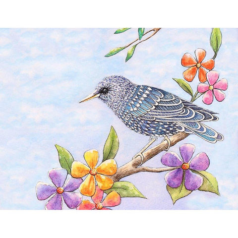 Starling Bird with Flowers White Modern Wood Framed Art Print by Wickstrom, Martin