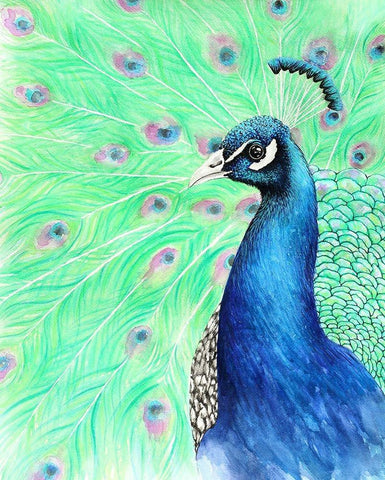 Mr. Peacock Black Ornate Wood Framed Art Print with Double Matting by Wickstrom, Martin
