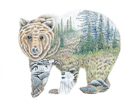 Scenic Bear White Modern Wood Framed Art Print with Double Matting by Wickstrom, Martin