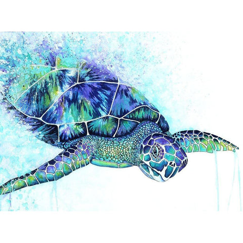 Sea Turtle Black Modern Wood Framed Art Print with Double Matting by Wickstrom, Martin