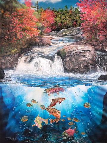Fish Falls White Modern Wood Framed Art Print with Double Matting by Murray Henderson Fine Art