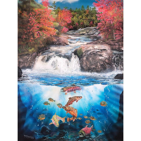 Fish Falls Black Modern Wood Framed Art Print with Double Matting by Murray Henderson Fine Art