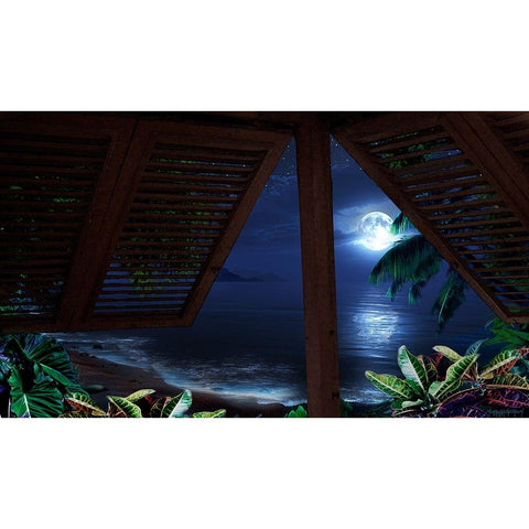 Tropical Dream Moon View Black Modern Wood Framed Art Print by Murray Henderson Fine Art
