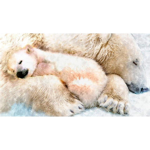 Polar Sleep Gold Ornate Wood Framed Art Print with Double Matting by Murray Henderson Fine Art