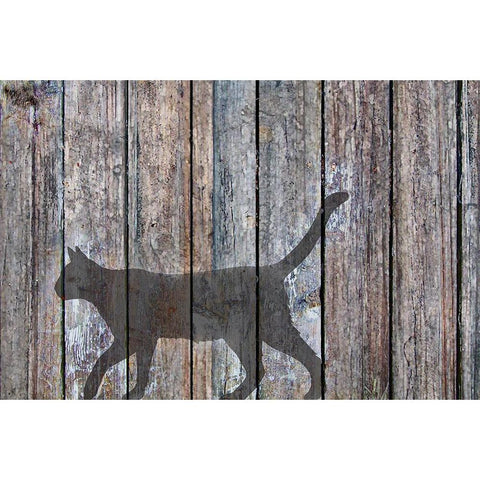 Barn Cat Shadow 5 White Modern Wood Framed Art Print by Murray Henderson Fine Art