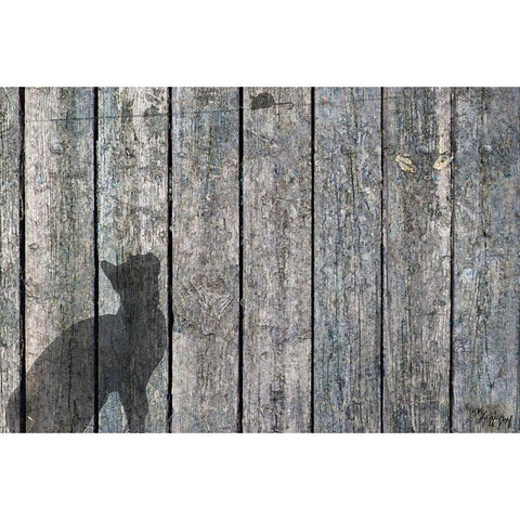 Cat And Mouse Shadow 2 Black Modern Wood Framed Art Print with Double Matting by Murray Henderson Fine Art