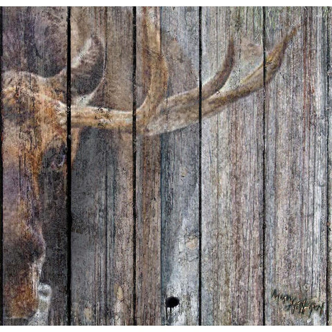 The Moose White Modern Wood Framed Art Print by Murray Henderson Fine Art