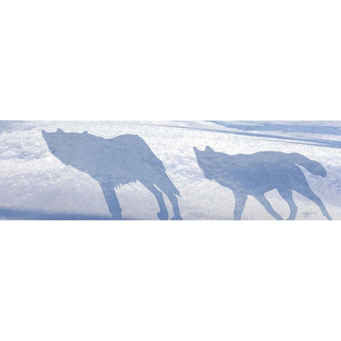 Wolf Pack Shadows Black Modern Wood Framed Art Print with Double Matting by Murray Henderson Fine Art