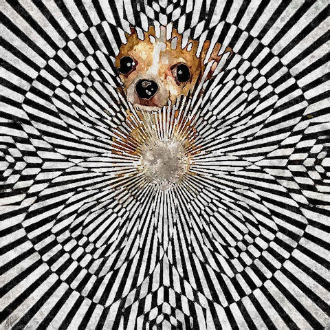 Chiwhat The Black Modern Wood Framed Art Print with Double Matting by Murray Henderson Fine Art