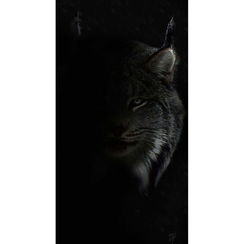 Lynx Stare White Modern Wood Framed Art Print by Murray Henderson Fine Art