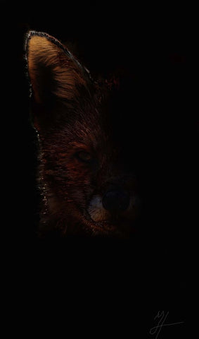 Out Fox Black Ornate Wood Framed Art Print with Double Matting by Murray Henderson Fine Art