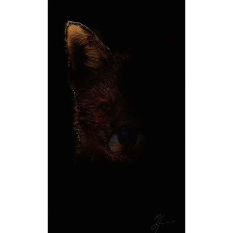 Out Fox Gold Ornate Wood Framed Art Print with Double Matting by Murray Henderson Fine Art