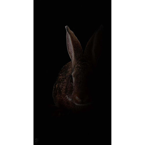 Wabbit Black Modern Wood Framed Art Print with Double Matting by Murray Henderson Fine Art