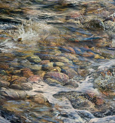 Untitled_Artwork (4) Black Ornate Wood Framed Art Print with Double Matting by Murray Henderson Fine Art