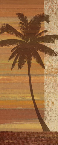 Tropical Sunset II White Modern Wood Framed Art Print with Double Matting by Zaccheo, John