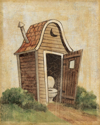 Outhouse III White Modern Wood Framed Art Print with Double Matting by Zaccheo, John