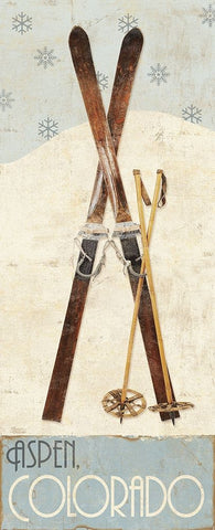 Ski Aspen I Black Ornate Wood Framed Art Print with Double Matting by Sparx Studio