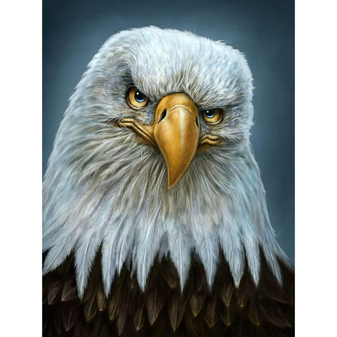 Bald Eagle Totem White Modern Wood Framed Art Print by LaMontagne, Patrick