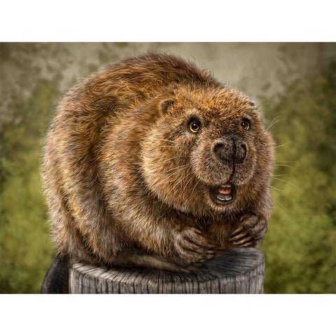 Beaver Totem Gold Ornate Wood Framed Art Print with Double Matting by LaMontagne, Patrick