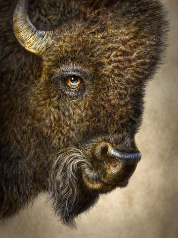 Bison Totem White Modern Wood Framed Art Print with Double Matting by LaMontagne, Patrick
