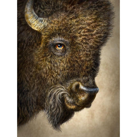 Bison Totem Black Modern Wood Framed Art Print with Double Matting by LaMontagne, Patrick