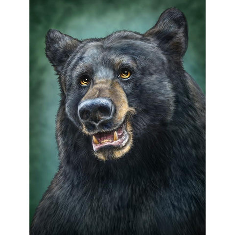 Black Bear Totem Gold Ornate Wood Framed Art Print with Double Matting by LaMontagne, Patrick