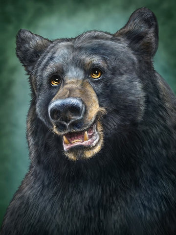 Black Bear Totem Black Ornate Wood Framed Art Print with Double Matting by LaMontagne, Patrick