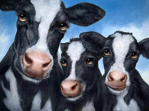 Cows Black Ornate Wood Framed Art Print with Double Matting by LaMontagne, Patrick