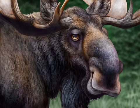 Moose Totem Black Ornate Wood Framed Art Print with Double Matting by LaMontagne, Patrick