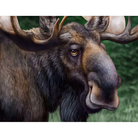 Moose Totem Gold Ornate Wood Framed Art Print with Double Matting by LaMontagne, Patrick