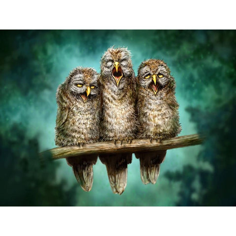 One Hoot Wonders Black Modern Wood Framed Art Print by LaMontagne, Patrick