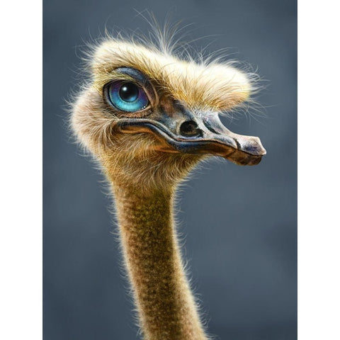 Ostrich Totem Black Modern Wood Framed Art Print with Double Matting by LaMontagne, Patrick