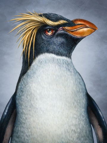 Penguin Totem White Modern Wood Framed Art Print with Double Matting by LaMontagne, Patrick