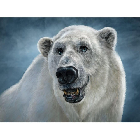 Polar Bear Totem Black Modern Wood Framed Art Print with Double Matting by LaMontagne, Patrick