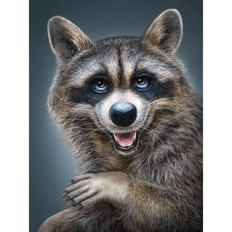 Raccoon Totem White Modern Wood Framed Art Print by LaMontagne, Patrick