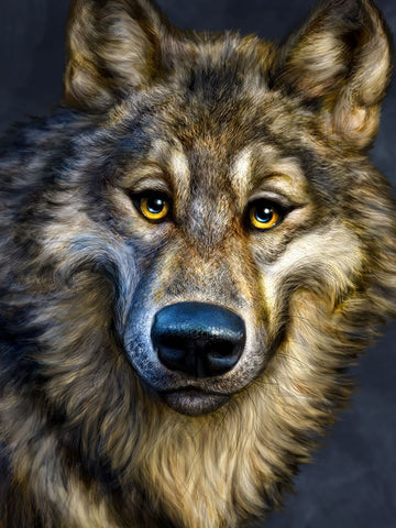 Wolf Totem White Modern Wood Framed Art Print with Double Matting by LaMontagne, Patrick