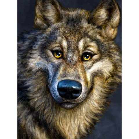 Wolf Totem Black Modern Wood Framed Art Print by LaMontagne, Patrick