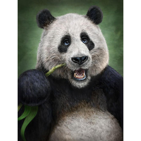 Panda Totem Black Modern Wood Framed Art Print with Double Matting by LaMontagne, Patrick