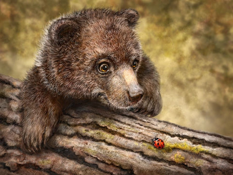 Kodiak Cub Black Ornate Wood Framed Art Print with Double Matting by LaMontagne, Patrick