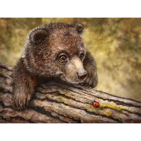 Kodiak Cub Black Modern Wood Framed Art Print by LaMontagne, Patrick