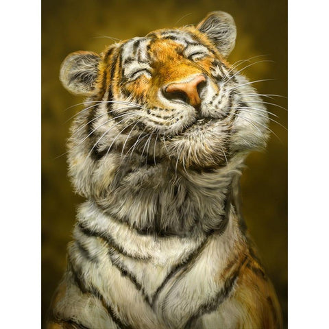 Smiling Tiger White Modern Wood Framed Art Print by LaMontagne, Patrick