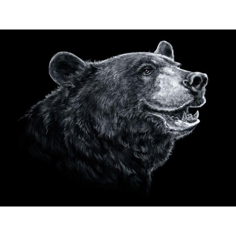 Black White Black Bear Gold Ornate Wood Framed Art Print with Double Matting by LaMontagne, Patrick