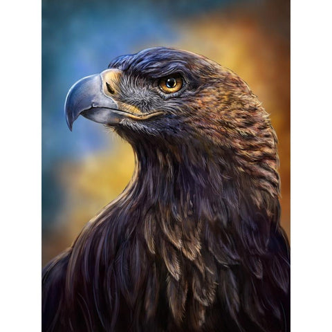 Golden Eagle Black Modern Wood Framed Art Print with Double Matting by LaMontagne, Patrick