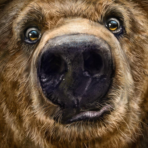 Kodiak Closeup Gold Ornate Wood Framed Art Print with Double Matting by LaMontagne, Patrick