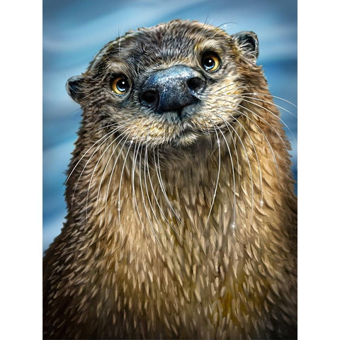 River Otter Black Modern Wood Framed Art Print with Double Matting by LaMontagne, Patrick