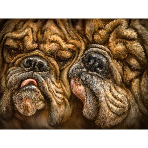 Wrinkles Black Modern Wood Framed Art Print with Double Matting by LaMontagne, Patrick