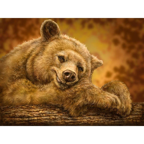 Sleepy Bear Black Modern Wood Framed Art Print with Double Matting by LaMontagne, Patrick